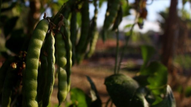 <p>
	<em>Снимка: Pixabay</em></p>
