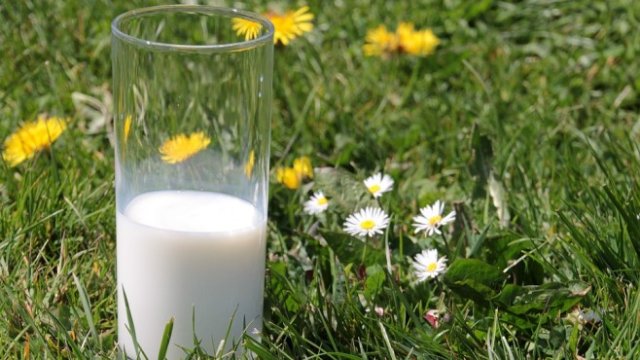 <p>
	<em>Снимка: Рixabay</em></p>
