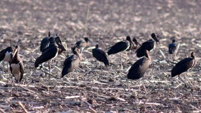 <p>
	<em>Снимка: БТА</em></p>
