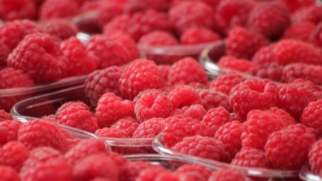 <p>
	<em>Снимка: Pixabay</em></p>
