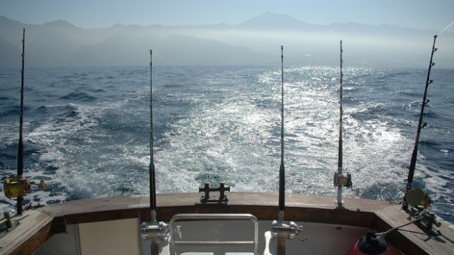 <p>
	<em>Снимка: Pixabay</em></p>
