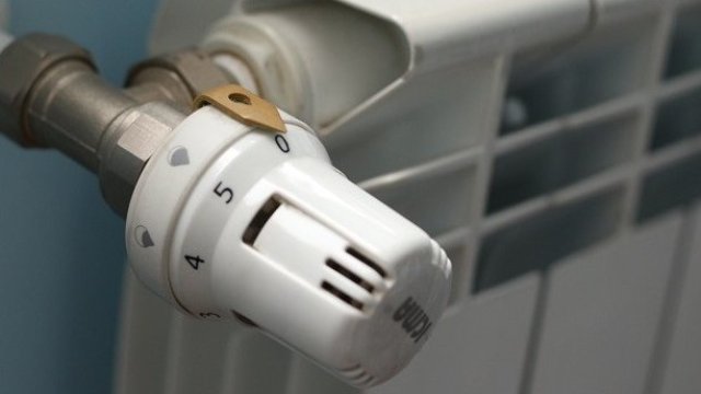 <p>
	<em>Снимка: БГНЕС</em></p>
