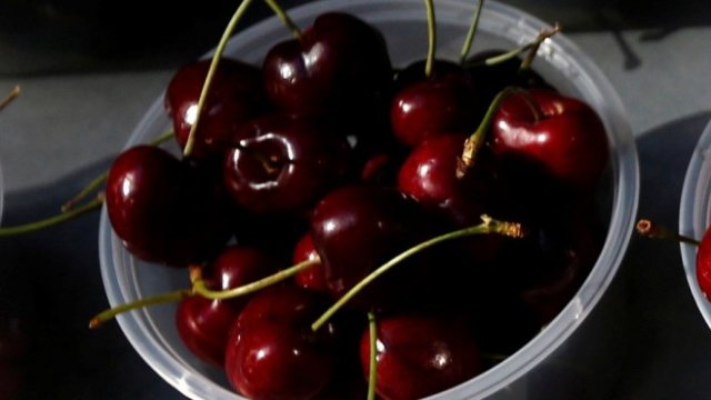 <p>
	<em>Снимка: Архив Ройтерс</em></p>
