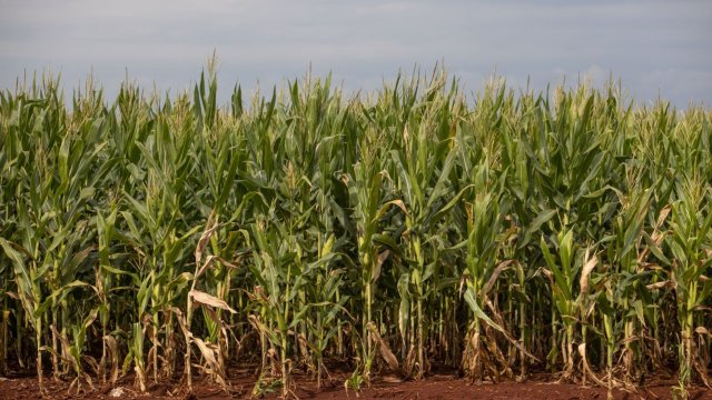 Снимка: Bloomberg LP