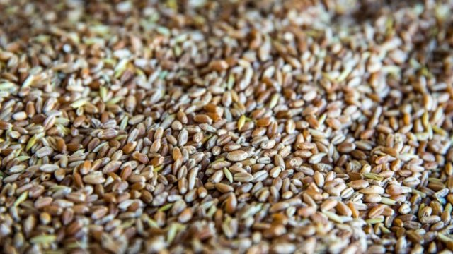 <p>
	<em>Снимка: Bloomberg</em></p>
