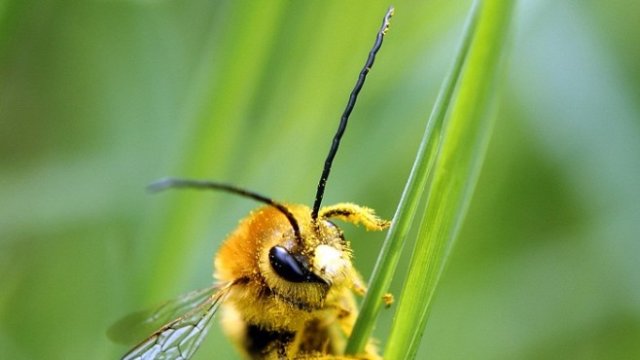 <p>
	<em>Снимка: Архив Ройтерс</em></p>
