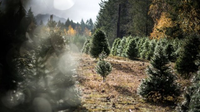 <p>
	<em>Снимка: Bloomberg</em></p>
