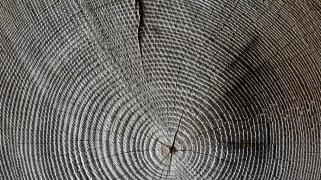 <p>
	<em>Снимка: Pixabay</em></p>
