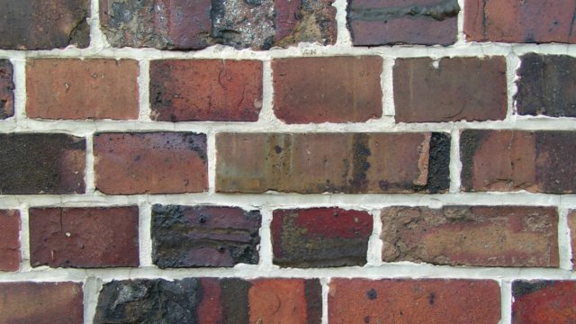 Снимка: Stefan K&uuml;hn / cc by sa-3.0)