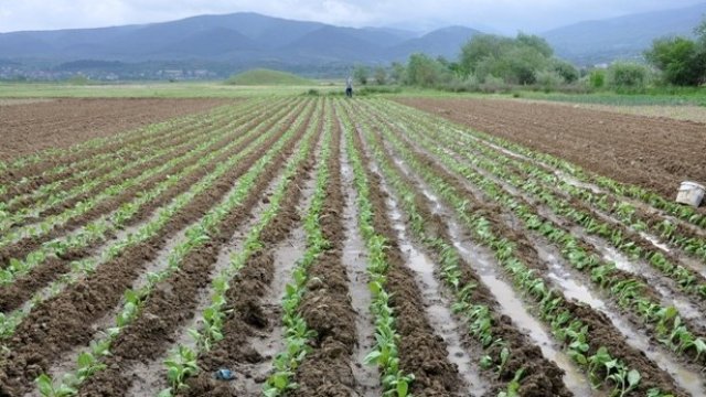 Кога ще се използват предимствата на регенеративното земеделие