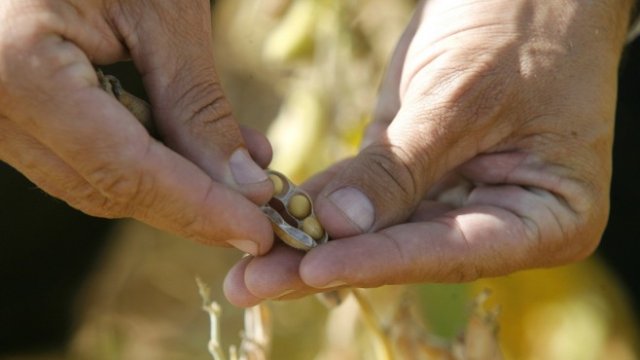 <p>
	<em>Снимка: Архив Ройтерс</em></p>
