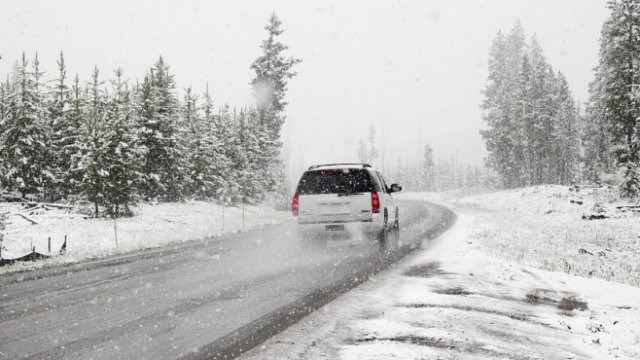 <p>
	<em>Снимка: Pixabay</em></p>
