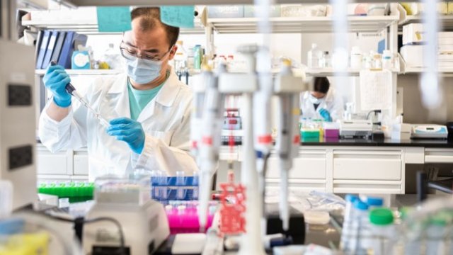 <p>
	<em>Снимка: gettyimages</em></p>
