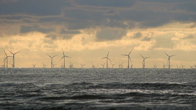 <p>
	<em>Снимка: Pixabay</em></p>
