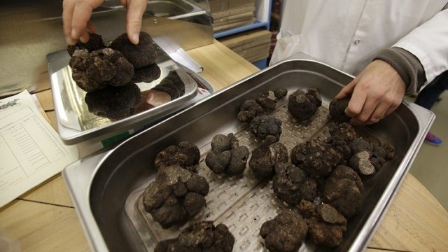 <p>
	<em>Снимка: Архив Ройтерс</em></p>
