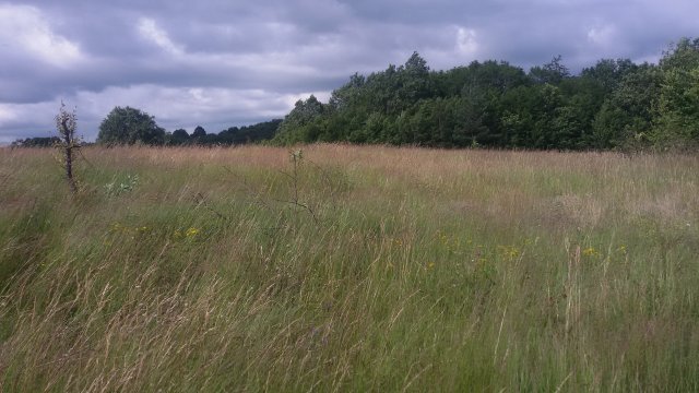 Снимка: Investor.bg