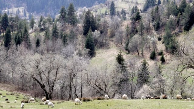 <p>
	<em>Снимка: БТА</em></p>
