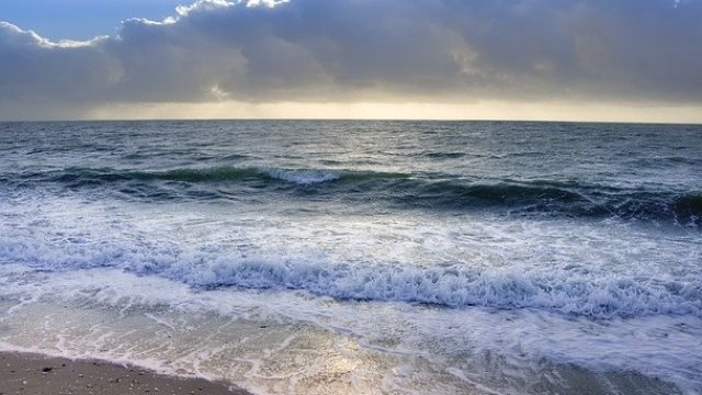 <p>
	<em>Снимка: Pixabay</em></p>
