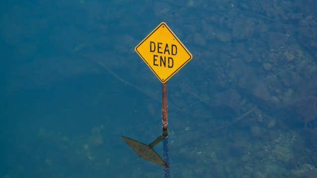 Снимка: Pixabay