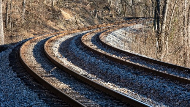 Снимка: Pixabay