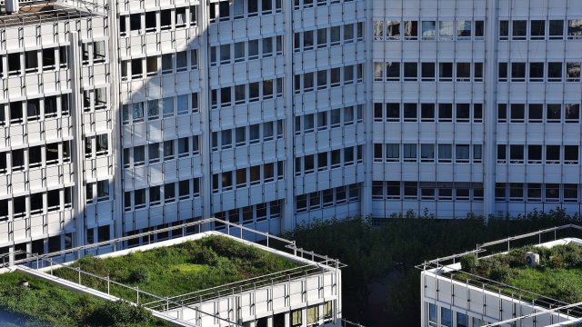 Снимка: Pixabay