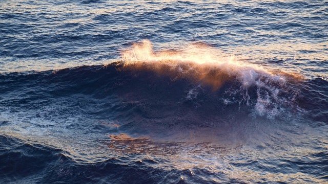 <p>
	<em>Снимка: Pixabay</em></p>
