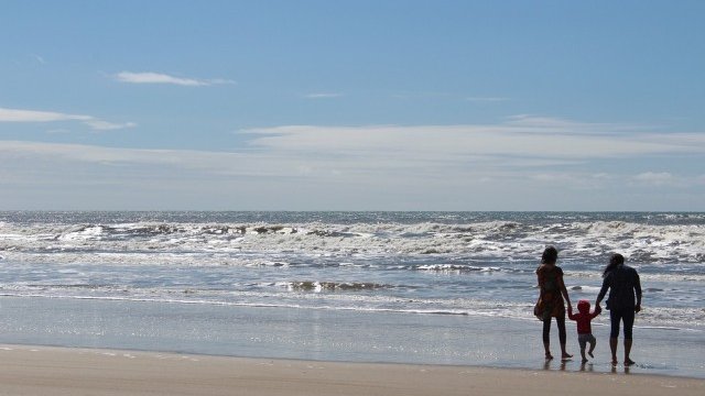 <p>
	<em>Снимка: Pixabay</em></p>
