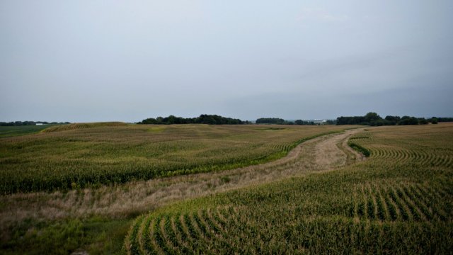 Снимка: Bloomberg LP