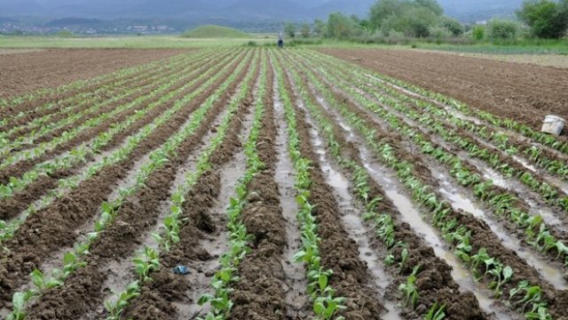 <p>
	<em>Снимка: БТА</em></p>
