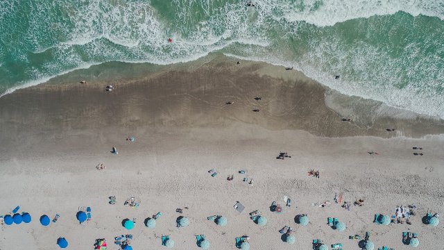 Снимка: Pixabay