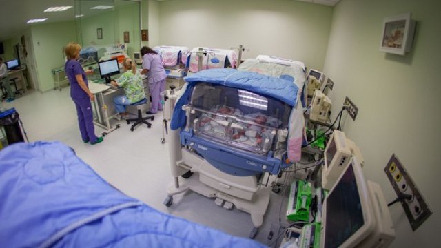 <p 0px="" 13px="" 23px="" 5px="" color:="" cursor:="" font-size:="" line-height:="" margin:="" overflow-wrap:="" pt="" style="font-family: ">
	<em>Снимкa: Димитър Кьосемарлиев, Investor Media Group</em></p>
<p 0px="" 13px="" 23px="" 5px="" color:="" cursor:="" font-size:="" line-height:="" margin:="" overflow-wrap:="" pt="" style="font-family: ">