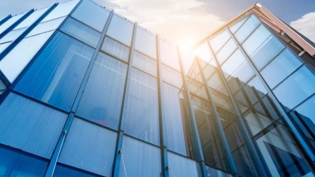 <p>
	Снимка: Pulse</p>
