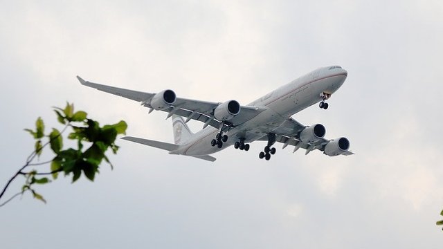 Снимка: Pixabay