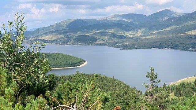 Снимка: БГНЕС/ЦВЕТАНА АРАНГЕЛОВА