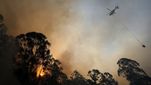 Смъртоносните горски пожари в Австралия продължават да върлуват