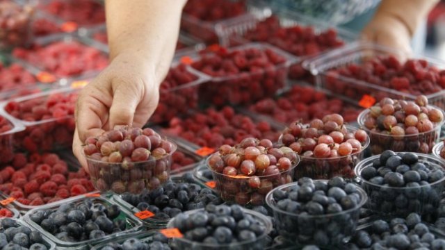 <p>
	Фермерски пазар в София.&nbsp;<em>Снимка: Олег Попов, Investor Media Group</em></p>
