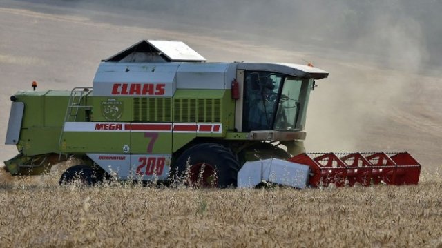 <p>
	<em>Жътва на ечемик в Разградско. Снимка: БТА</em></p>
