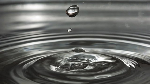 <p>
	<em>Снимка: Pixabay</em></p>
