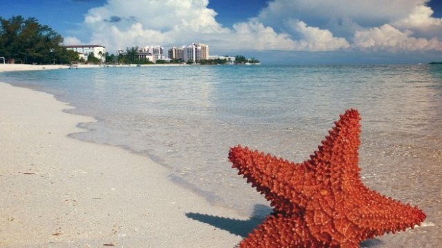 <p>
	Бахамите. <em>Снимка: Pixabay.com</em></p>
