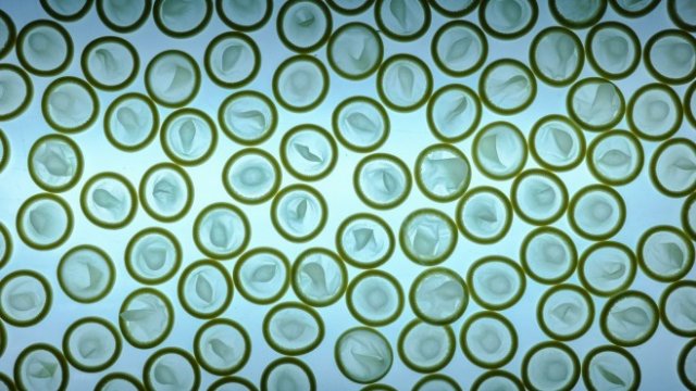 <p>
	<em>Снимка: Bloomberg LP</em></p>
