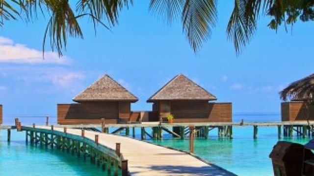 <p>
	<em>Снимка: Pixabay.com</em></p>
