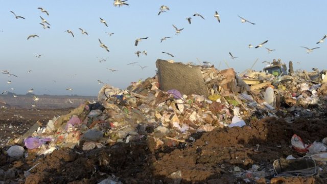 <p>
	<em>Снимка: Bloomberg LP</em></p>
