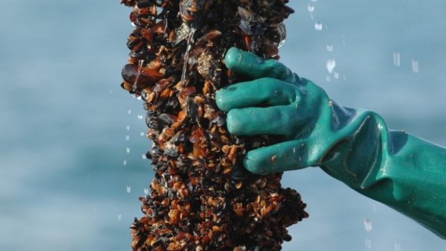 <p>
	<em>Снимка: Pixabay</em></p>
