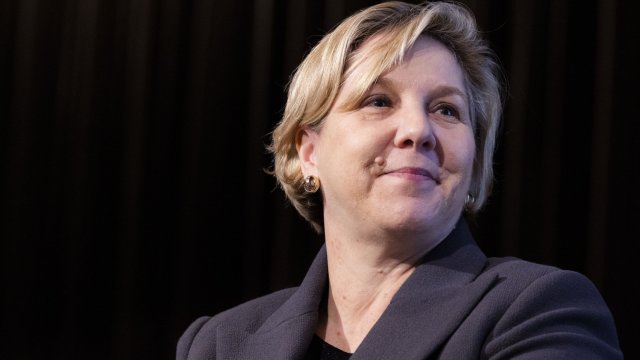 Председателят на Tesla Inc. Робин Денхолм. Снимка: Bloomberg L.P.