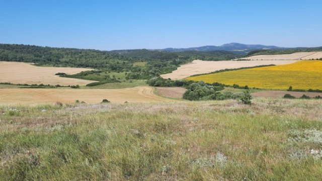 <p>
	<em>Снимка: Investor.bg</em></p>
