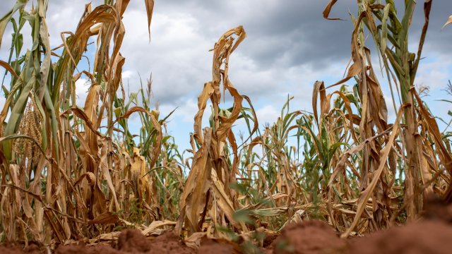 Снимка: Bloomberg L.P.