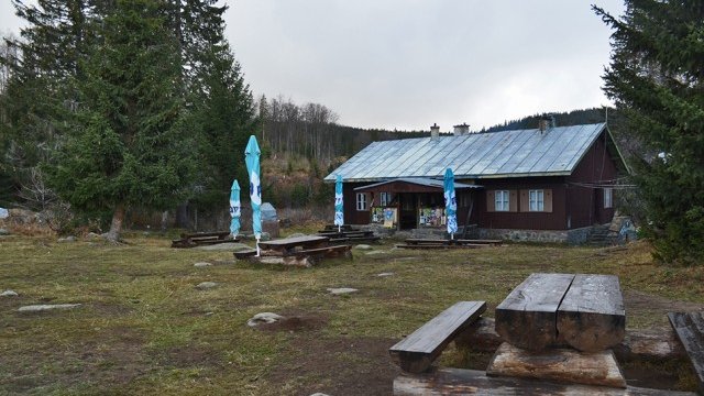 <p>
	<em>Снимка: Дирекция &quot;Природен парк Витоша&quot;</em></p>
