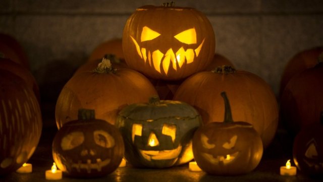 <p>
	<em>Снимка: gettyimages.com</em></p>
