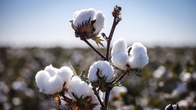 Снимка: Bloomberg L.P.