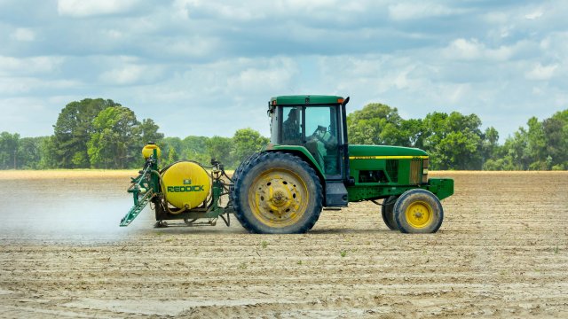 Снимка: Pexels 